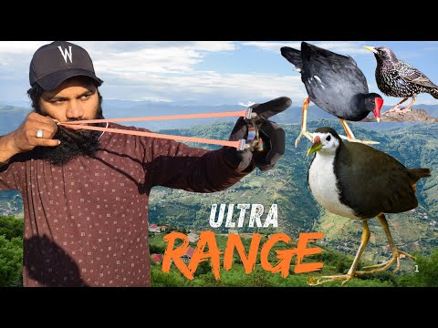 Видео: Моя лучшая охота на несколько видов птиц: чибиса, скворца, камышницу и голубя!