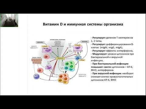 Видео: Витамин D в организме человека