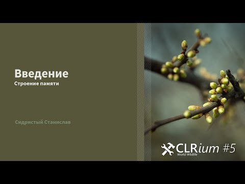 Видео: CLRium #5: Курс "Garbage Collector". 1/7: Основы строения памяти