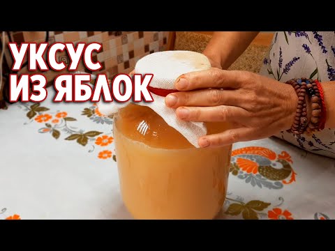 Видео: НЕ ВЫБРАСЫВАЙ УКСУСНУЮ МАТКУ! УКСУС ЧЕРЕЗ 10 ДНЕЙ ЧАСТЬ 2 ПРОДОЛЖЕНИЕ @obovsemsmarusya