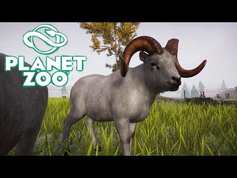 Видео: БАРАН ДАЛЛА #1 PLANET ZOO ПРОХОЖДЕНИЕ