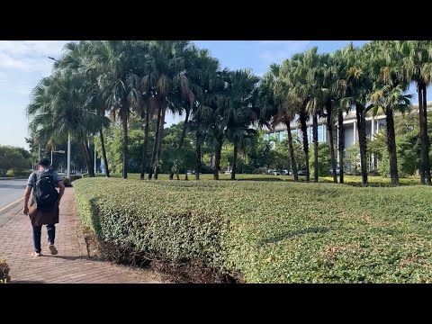 Видео: Приключение продолжаются! Прилет в Китай г. Гуанчжоу - Заселение в гостиницу 1 серия!