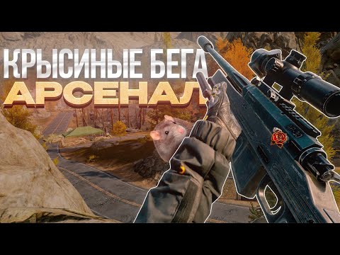 Видео: Кто не спрятался,я не виноват!Арсенал - «Крысиные бега» в игре Arena Breakout Mobile.