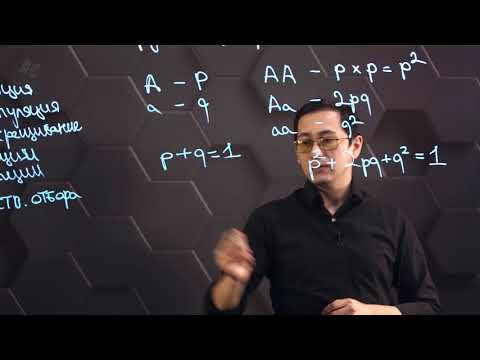 Видео: Закон генетического равновесия Харди - Вайнберга. 11 класс.