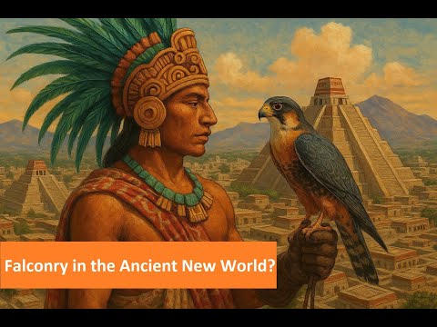 Видео: Древняя соколиная охота Нового Света?