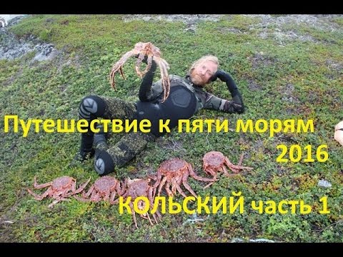 Видео: Подводная охота на Кольском - часть 1 (реки , баренцево)