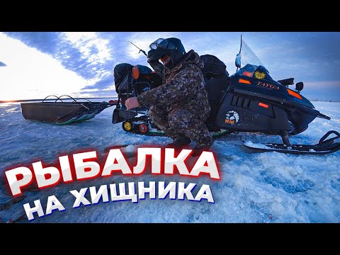 Видео: Рыбалка в лунке/Ловлю окуня/Как наловить рыбу #сезон2022/23