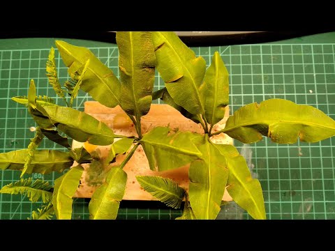 Видео: Пальмы для диорамы.Новый способ изготовления.