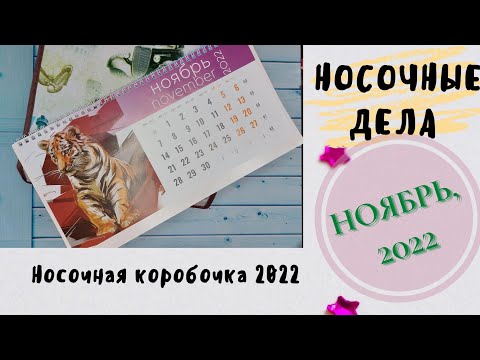 Видео: НОСОЧНЫЕ ДЕЛА// НОСОЧКИ НОЯБРЯ// НОСОЧНАЯ КОРОБОЧКА 2022