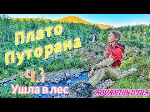 Видео: Плато Путорана. ч.3. Пеший поход туда, куда не ходят. Ушла в лес одна