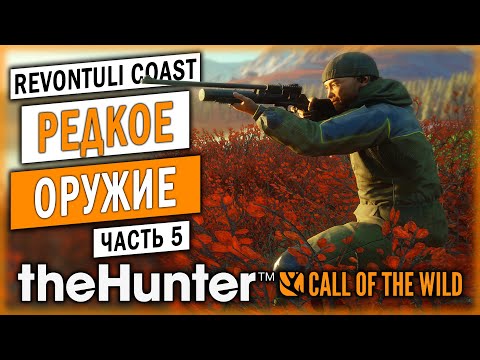 Видео: САМОЕ РЕДКО ИСПОЛЬЗУЕМОЕ И НЕПОПУЛЯРНОЕ ОРУЖИЕ! | theHunter Call of the Wild 🦆 | (часть 5)