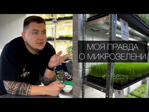 Видео: Правда о старте в микрозелени. Откровения. #микрозелень #микрозеленьогород