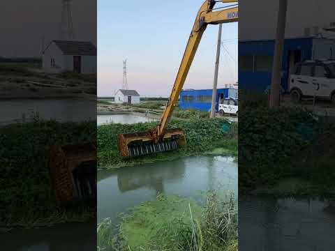 Видео: JCB поймал рыбу 🐠🐟 из реки [145]