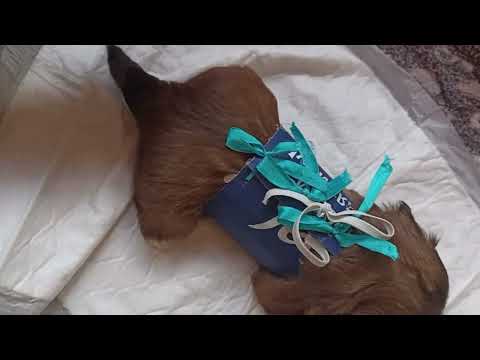 Видео: Синдром "Пловца" - Не приговор!