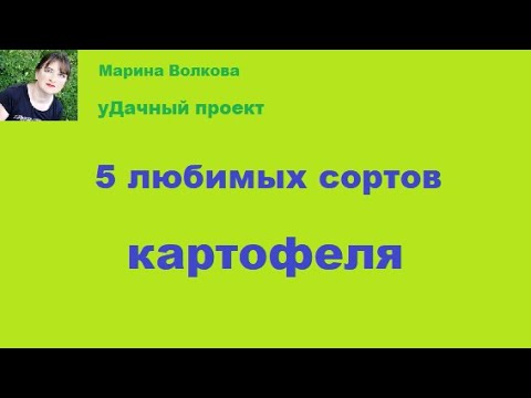 Видео: 5 урожайных сортов картофеля в Сибири