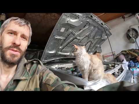 Видео: I'M CHANGING THE PISTON RINGS IN MY OLD HONDA ACCORD | МЕНЯЮ ПОРШНЕВЫЕ КОЛЬЦА В СТАРОЙ ХОНДА АККОРД