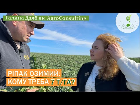 Видео: Ярослав Бай: як перезимував ріпак, рістрегуляція та фунгіцидний захист, перше весняне внесення