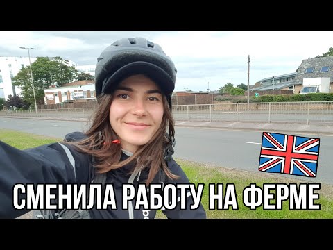 Видео: СМЕНИЛА РАБОТУ НА ФЕРМЕ В АНГЛИИ | Husb - Trussing, Cutting Runners | Виды работы на ферме