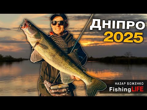 Видео: Рибалка В ДНІПРІ - Фантастичні СУДАКИ і ОКУНЯ