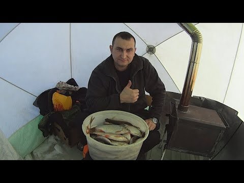 Видео: Огромная плотва ломает мормышки и сгибает удочку в дугу.