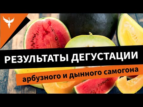 Видео: Результаты дегустации арбузного и дынного самогона. Горбатого хоть могила исправит....