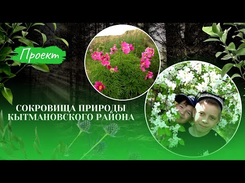 Видео: Сокровища природы Кытмановского района