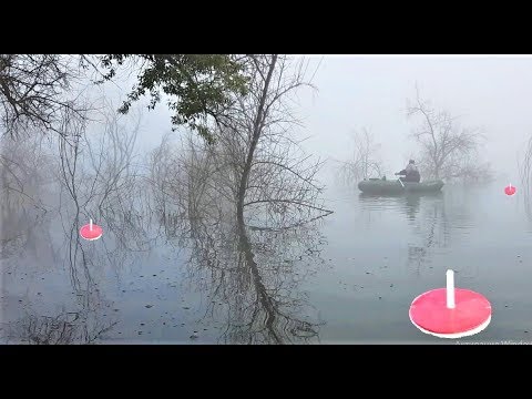 Видео: ЩУКА на КРУЖКИ в ЗЛОВЕЩЕМ КОРЯЖНИКЕ