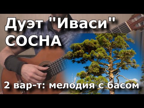 Видео: ИВАСИ - Сосна (2вар: мелодия и бас) - разбор и табы