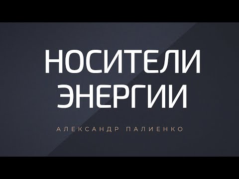 Видео: Носители энергии. Александр Палиенко.