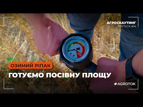 Видео: Озимий ріпак: готуємо посівну площу