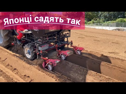 Видео: Японці вже посадили картоплю! От як треба!