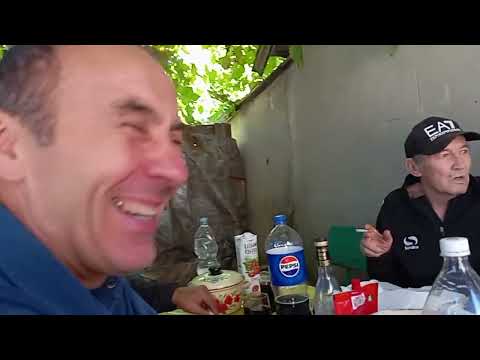 Видео: Мелитопольские голуби. В память о товарище...