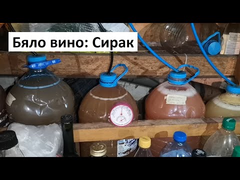 Видео: Бяло вино: Сирак