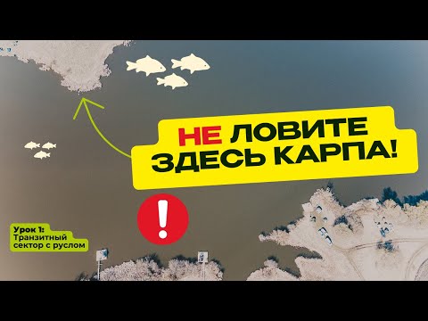 Видео: КАК и ГДЕ ЛОВИТЬ КАРПА? Практические советы и ошибки в карпфишинге!