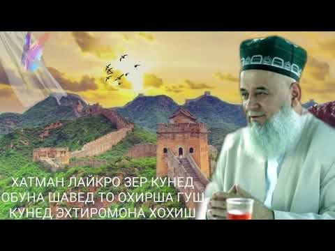 Видео: Хочи Мирзо 2021   Саволу Чавоб 20 Ноябрь
