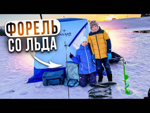 Видео: Ловим форель со льда! Как провести время с семьей на рыбалке!