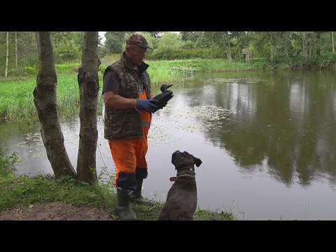 Видео: Охота  Грибы Рыбалка..Жизнь Отшельника в Отдаленной Деревне.