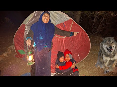 Видео: «Тёмная и страшная ночь: оператор помогает старушке и детям»