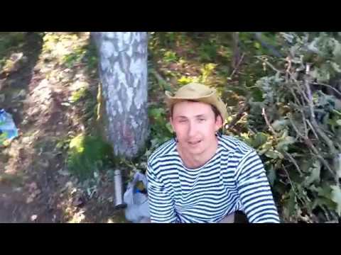 Видео: Сплав по реке Луга часть 2