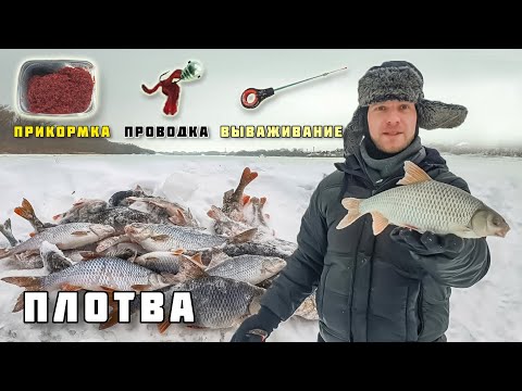 Видео: ЛОВЛЯ ПЛОТВЫ НА МОРМЫШКУ С МОТЫЛЁМ ПРИКОРМКА ПРОВОДКА ПОИСК как поймать? зимняя рыбалка 2021