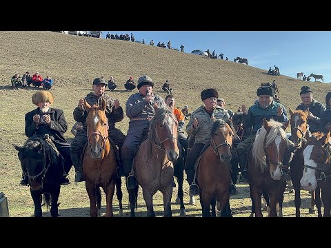 Видео: Тукуш балбандын улагы толугу менен