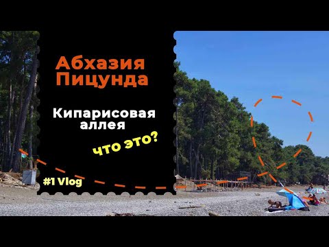 Видео: Пицунда кипарисовая аллея