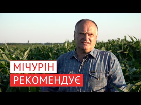 Видео: Як отримати кращий урожай, не вносячи тони добрив? Усе просто. Треба багато знати.