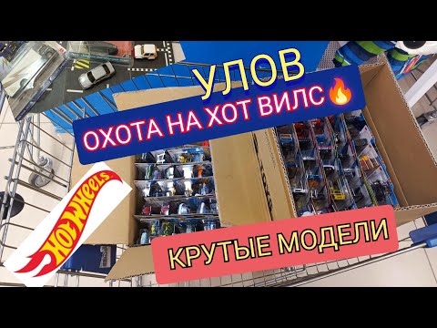 Видео: ОХОТА НА ХОТ ВИЛС.УЛОВ🔥
