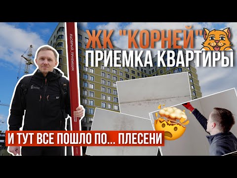 Видео: ПРИЕМКА КВАРТИРЫ | ЖК "КОРНЕЙ" | СЗ "ТВЕЛЛ" | ТЮМЕНЬ