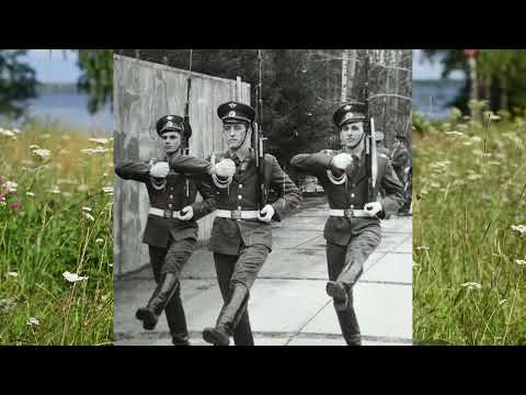 Видео: СВВПТАУ Выпуск 1985 г