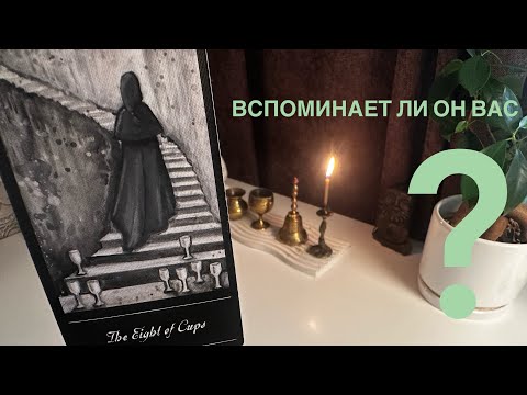 Видео: Вспоминает ли он вас?