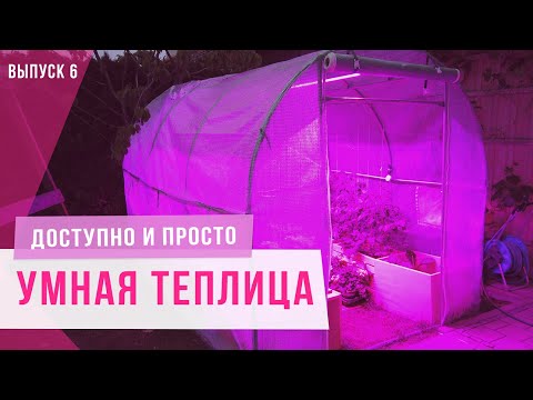 Видео: Выращивание растений в умной теплице с использованием фитолампы Юнион, обогрева и контролеров.