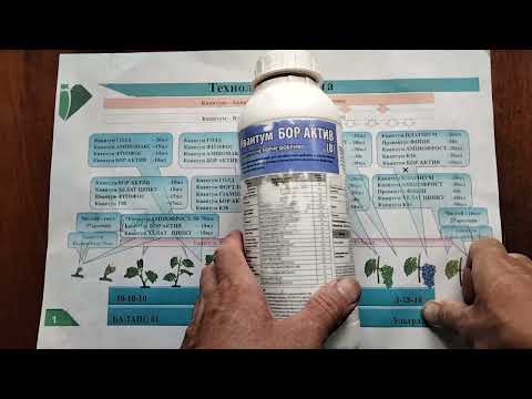 Видео: Виноград после цветения . Что надо сделать в первую очередь?