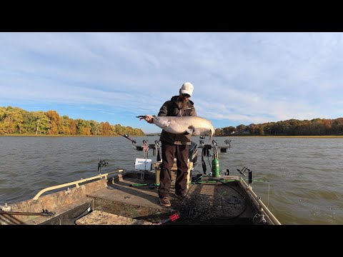Видео: Не то, чего я ожидал